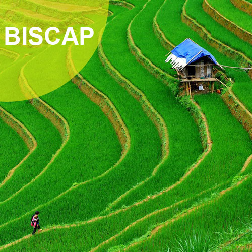 biscap